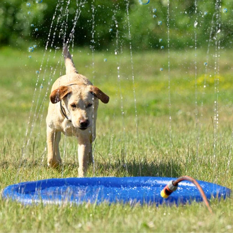 Sprinkler Play Mat