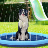 Sprinkler Play Mat